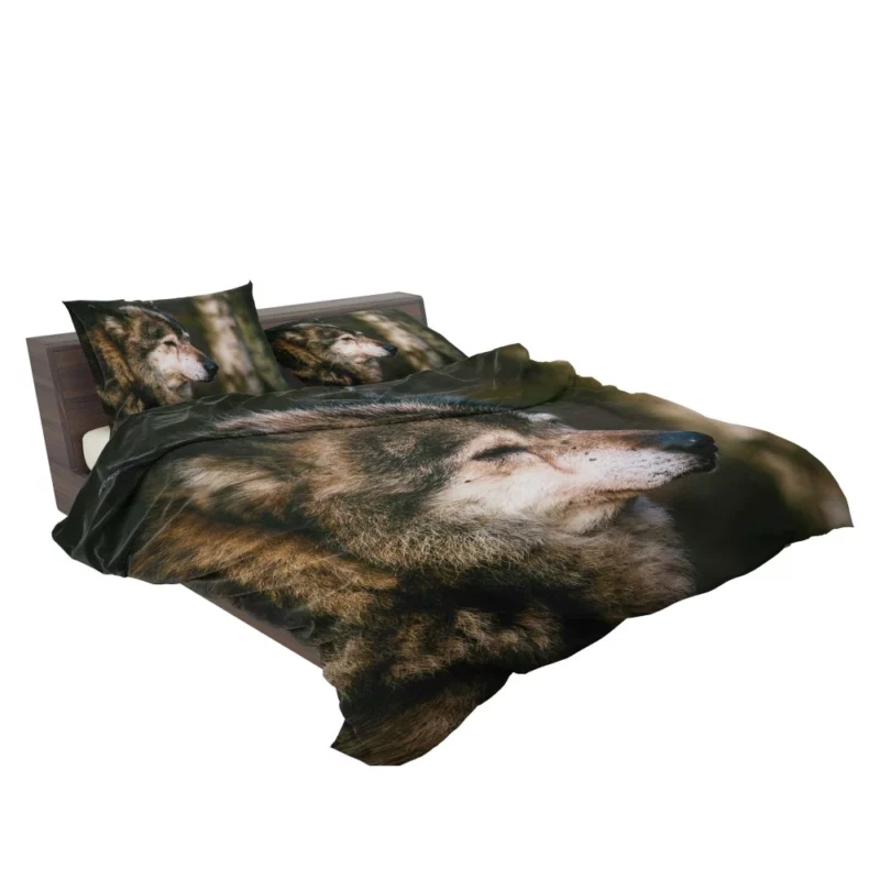 Lone Wolf Gaze Enigmatic Wilderness Bedding Set 2