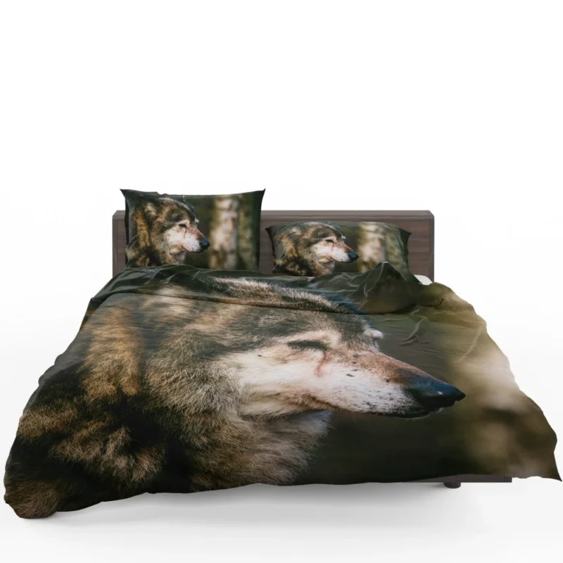 Lone Wolf Gaze Enigmatic Wilderness Bedding Set