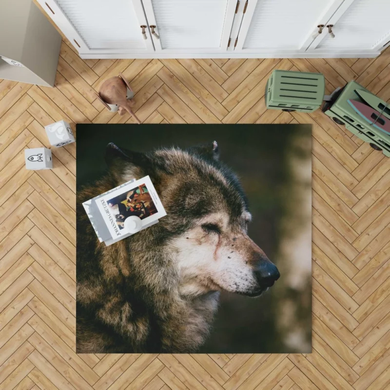 Lone Wolf Gaze Enigmatic Wilderness Rug