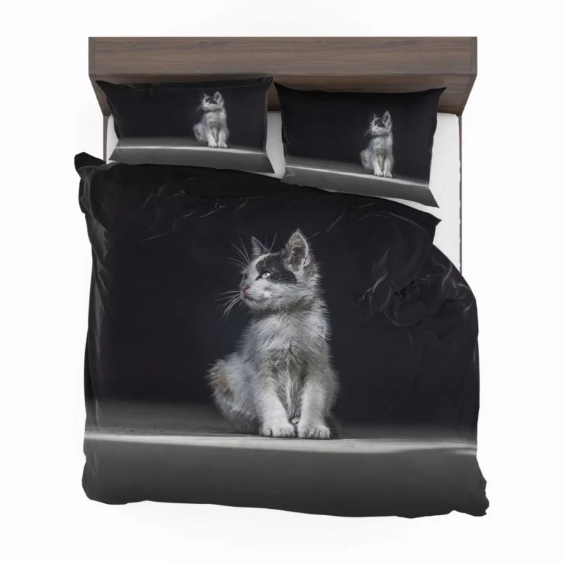 Lonely Kitten Captivating Portrait Bedding Set 1