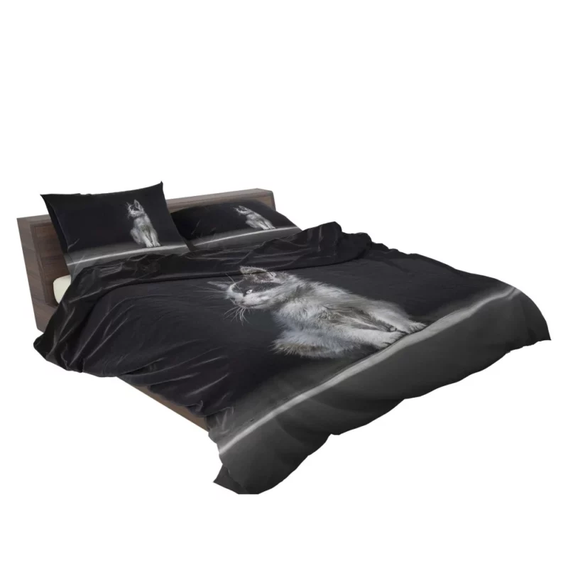 Lonely Kitten Captivating Portrait Bedding Set 2