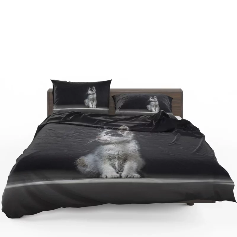 Lonely Kitten Captivating Portrait Bedding Set