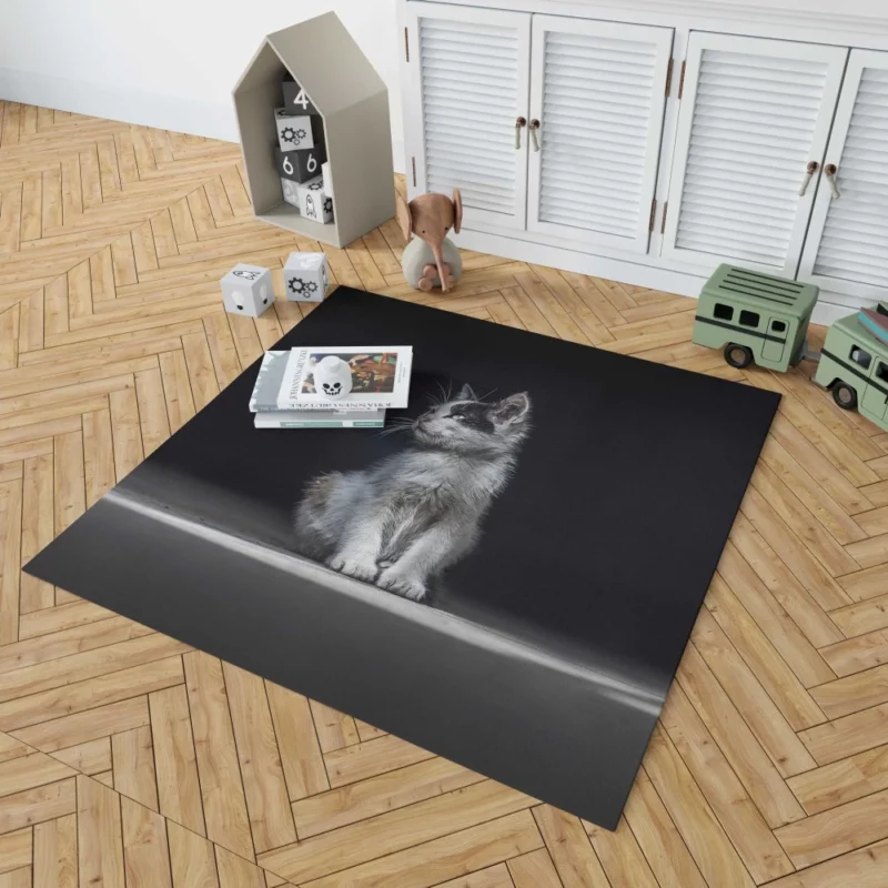 Lonely Kitten Captivating Portrait Rug 1