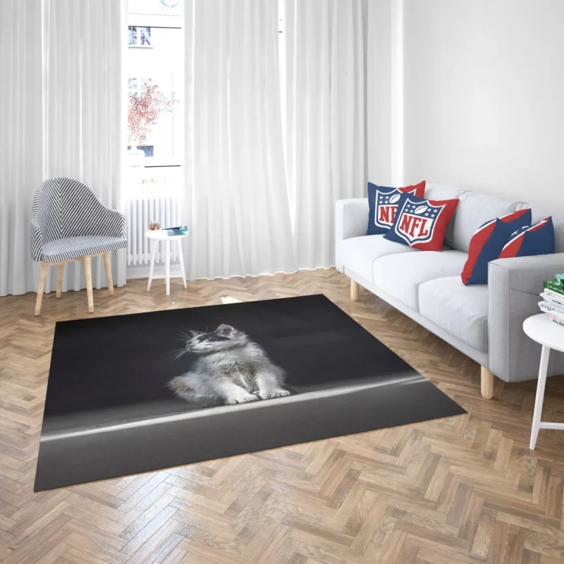 Lonely Kitten Captivating Portrait Rug 2