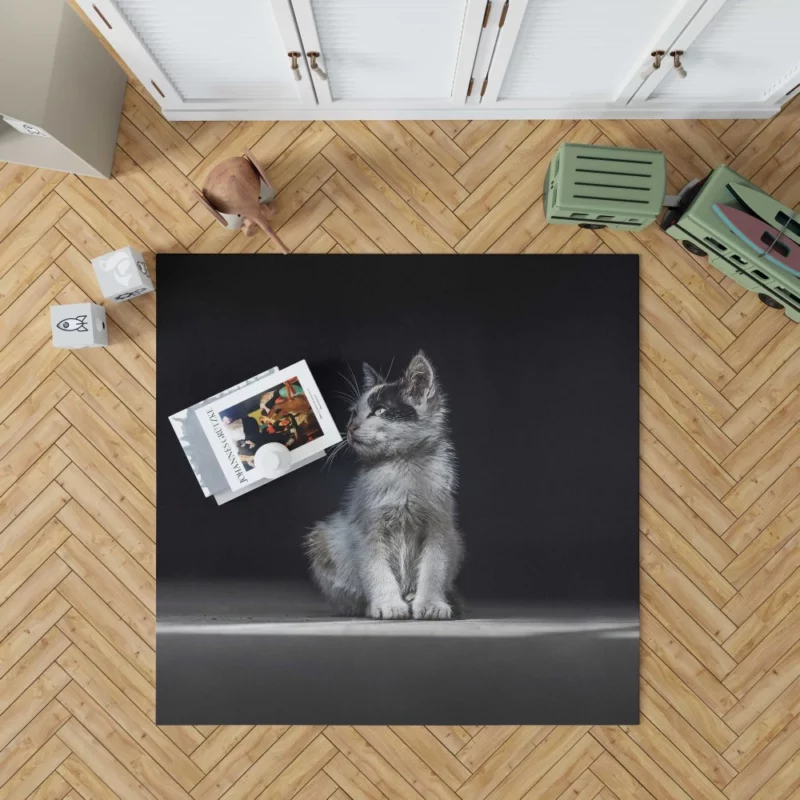 Lonely Kitten Captivating Portrait Rug