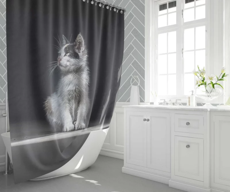 Lonely Kitten Captivating Portrait Shower Curtain 1