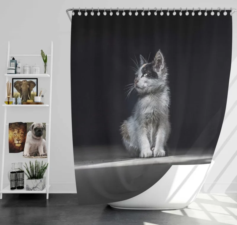 Lonely Kitten Captivating Portrait Shower Curtain