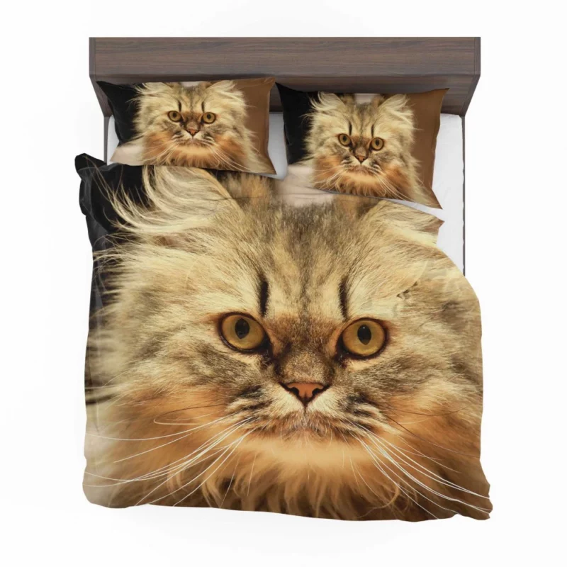 Long-Haired Cat Elegance & Grace Bedding Set 1