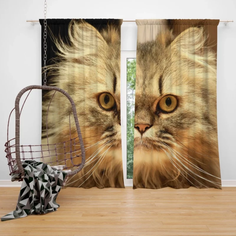 Long-Haired Cat Elegance & Grace Curtain