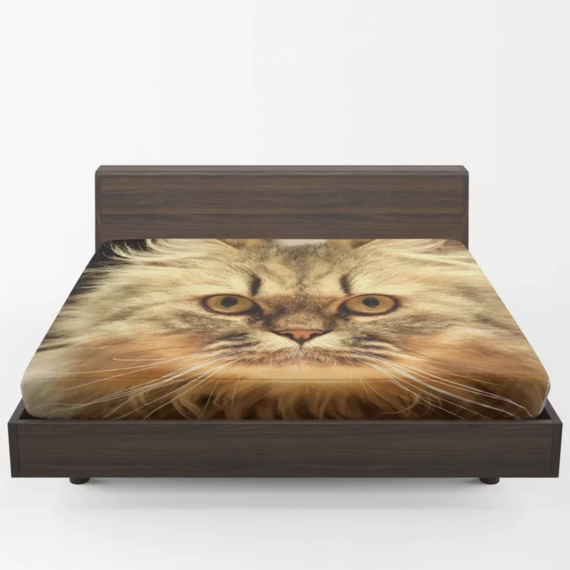 Long-Haired Cat Elegance & Grace Fitted Sheet