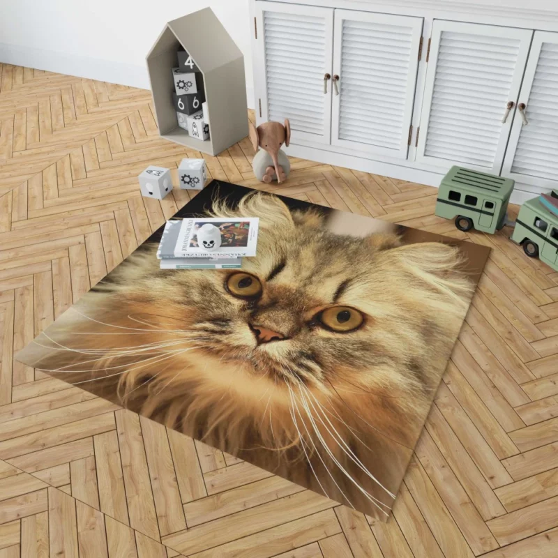 Long-Haired Cat Elegance & Grace Rug 1