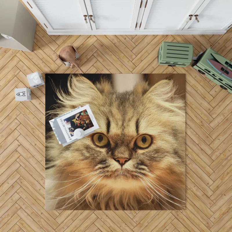 Long-Haired Cat Elegance & Grace Rug