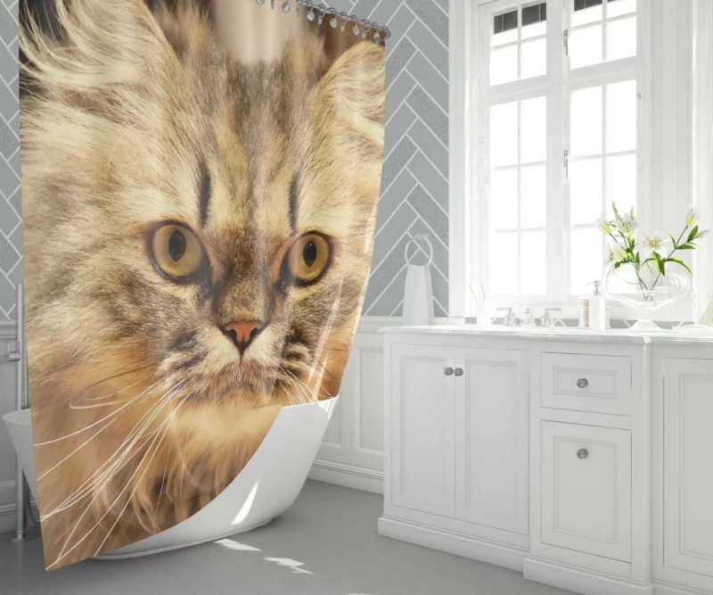 Long-Haired Cat Elegance & Grace Shower Curtain 1