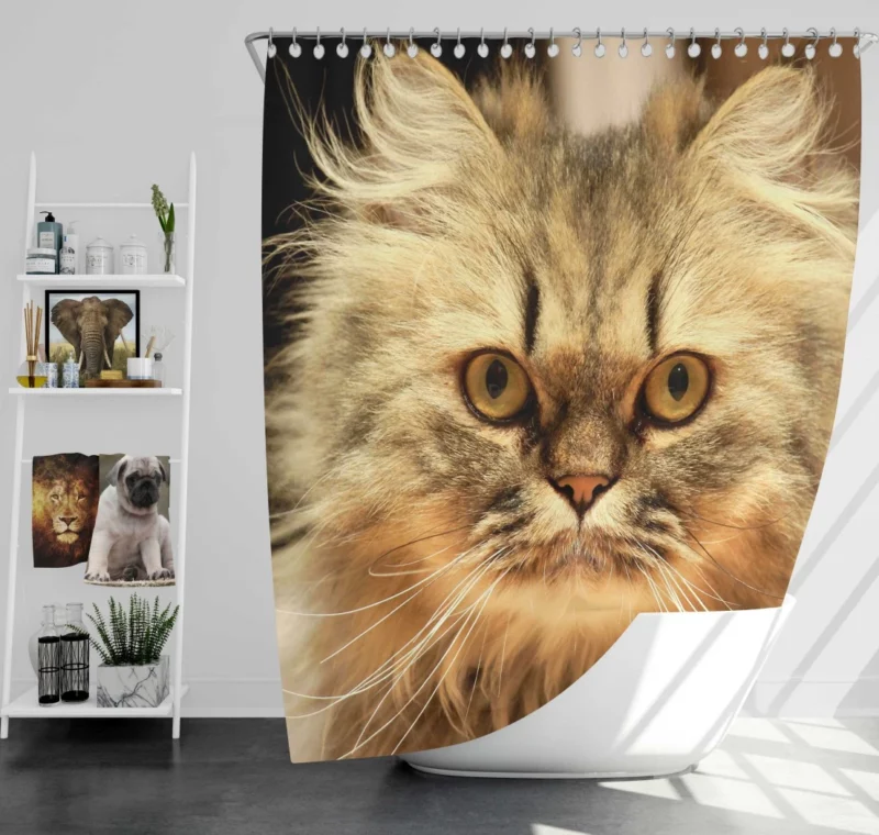 Long-Haired Cat Elegance & Grace Shower Curtain