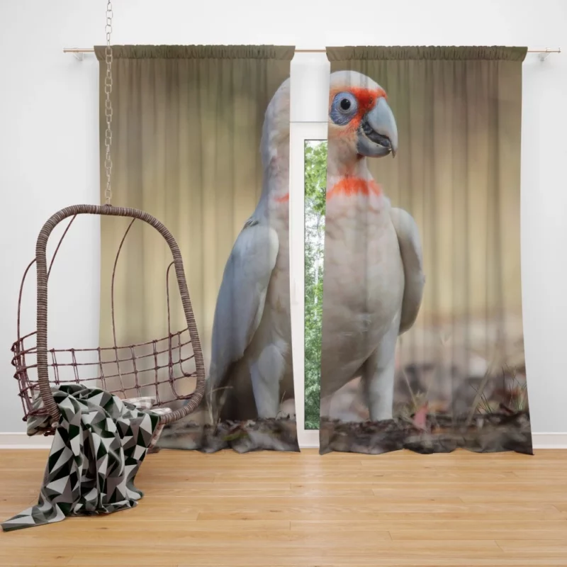 Long-billed Corella Playful Presence Cockatoo Delight Curtain