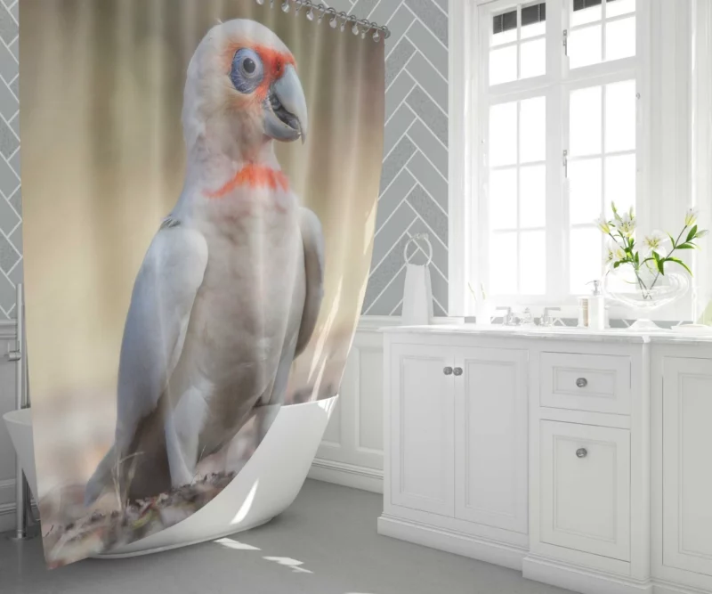 Long-billed Corella Playful Presence Cockatoo Delight Shower Curtain 1