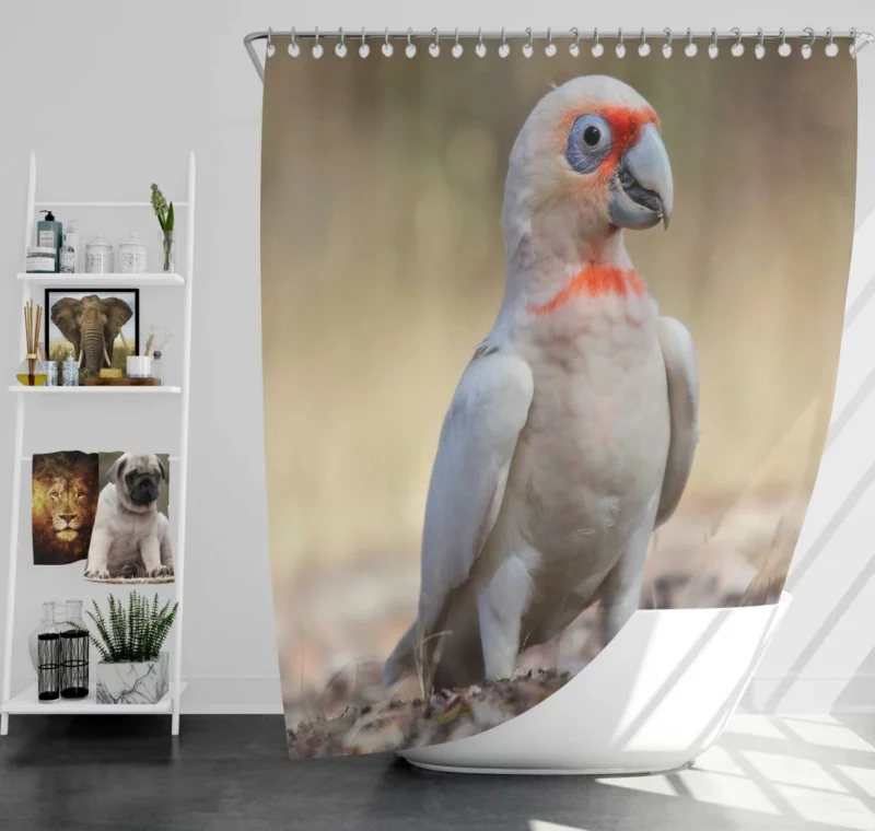 Long-billed Corella Playful Presence Cockatoo Delight Shower Curtain