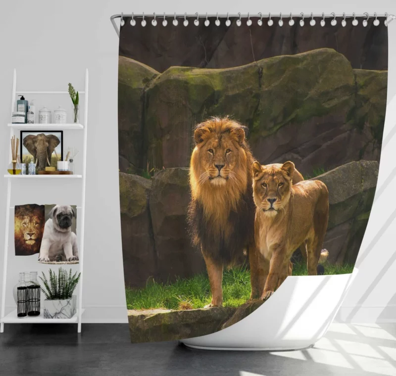 Loving Lion Pair Regal Bond Shower Curtain