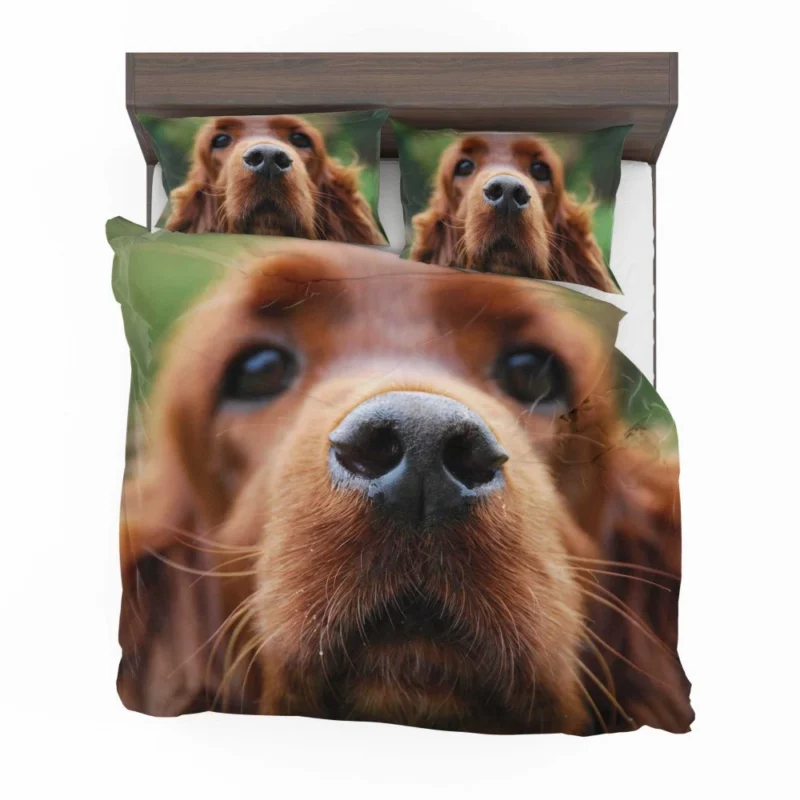 Loyal Companion Cocker Spaniel Charm Bedding Set 1