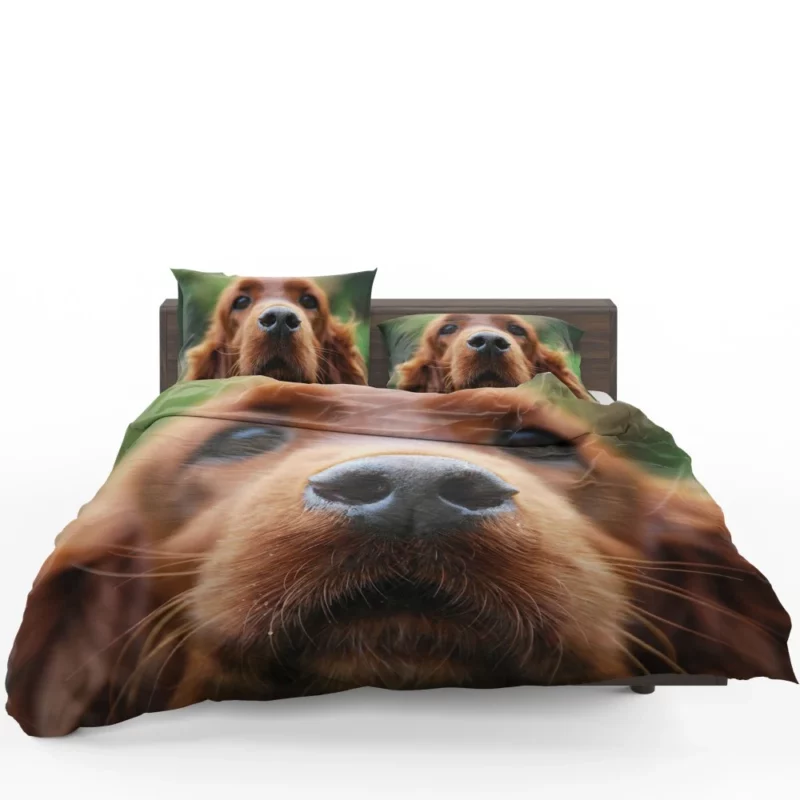 Loyal Companion Cocker Spaniel Charm Bedding Set