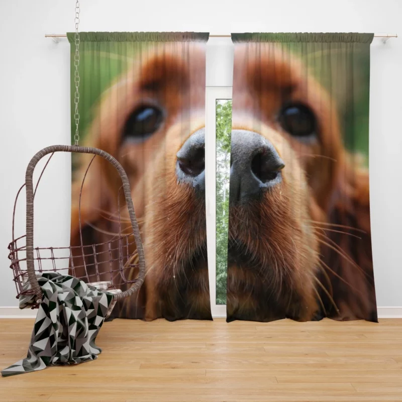 Loyal Companion Cocker Spaniel Charm Curtain