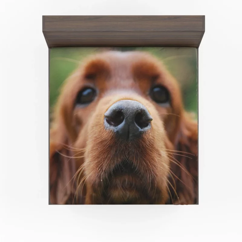 Loyal Companion Cocker Spaniel Charm Fitted Sheet 1