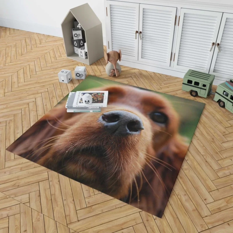 Loyal Companion Cocker Spaniel Charm Rug 1