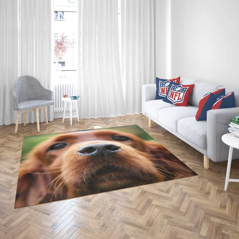 Loyal Companion Cocker Spaniel Charm Rug 2