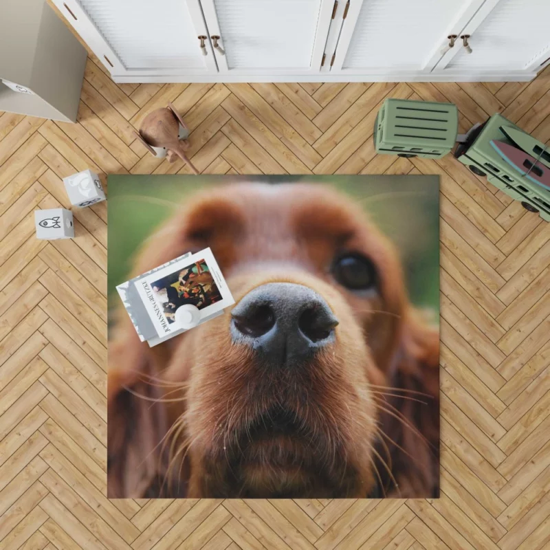 Loyal Companion Cocker Spaniel Charm Rug