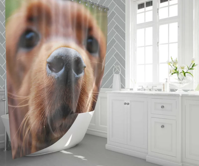 Loyal Companion Cocker Spaniel Charm Shower Curtain 1