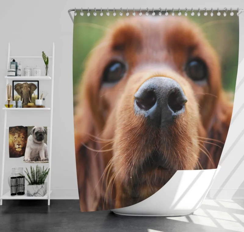 Loyal Companion Cocker Spaniel Charm Shower Curtain