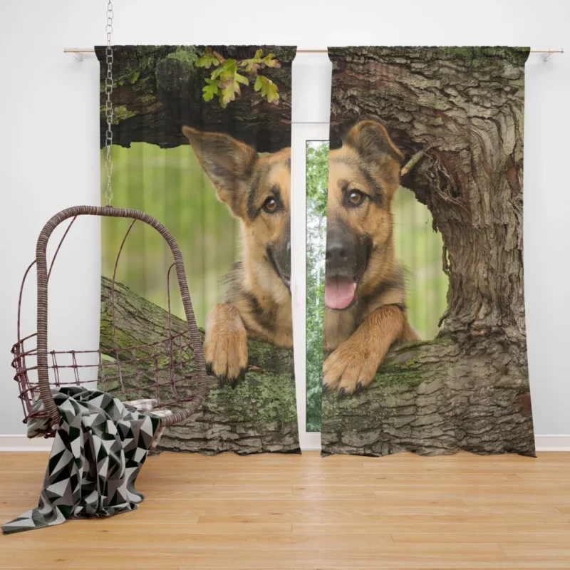 Loyal German Shepherd Furry Guardian Curtain