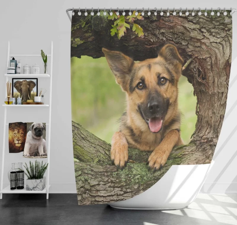 Loyal German Shepherd Furry Guardian Shower Curtain