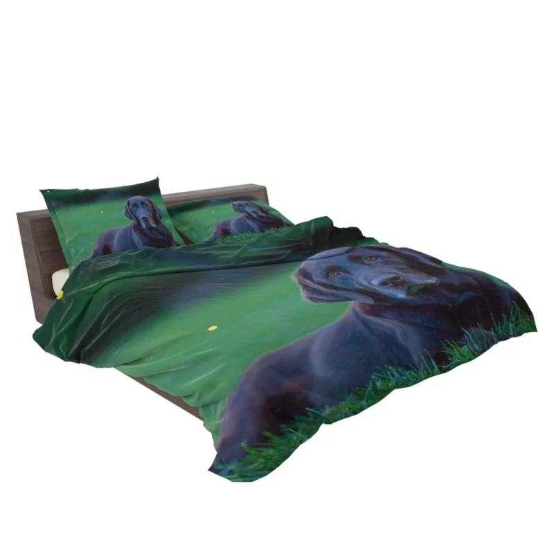 Loyal Labrador Companion Bedding Set 2