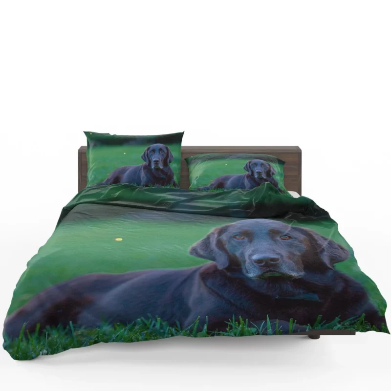 Loyal Labrador Companion Bedding Set