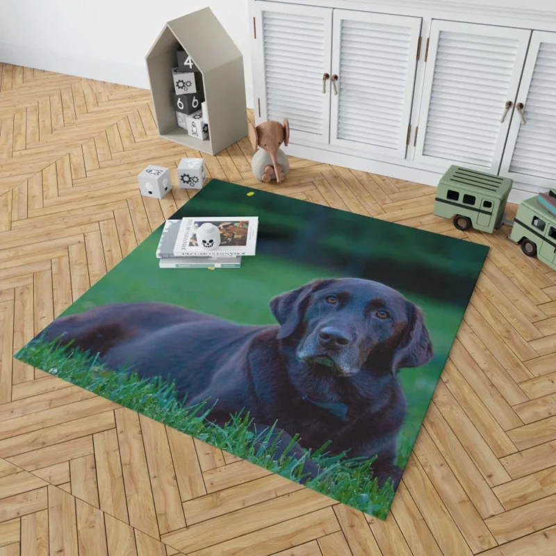 Loyal Labrador Companion Rug 1