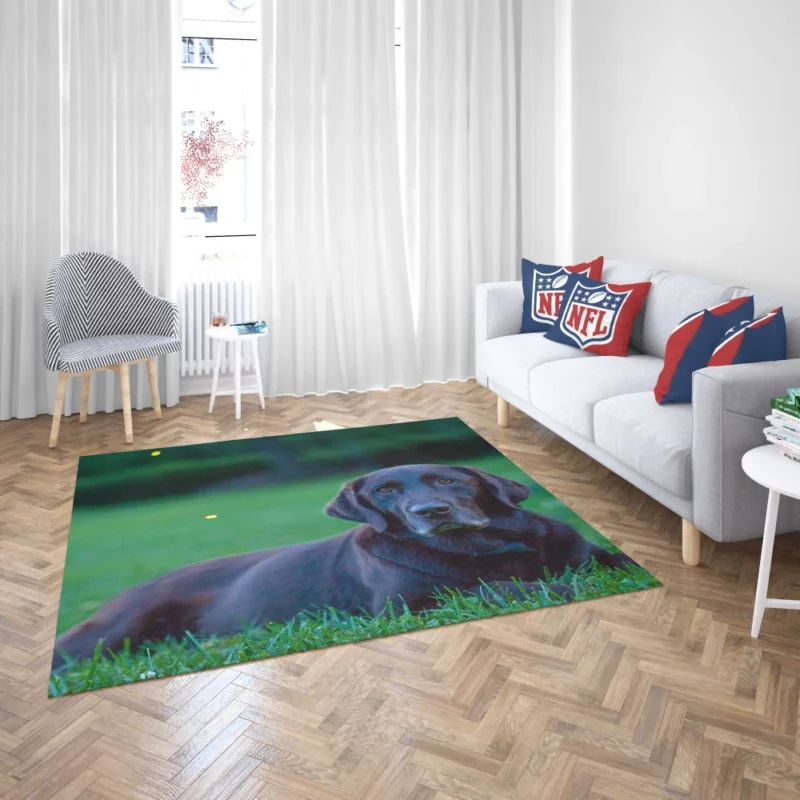 Loyal Labrador Companion Rug 2