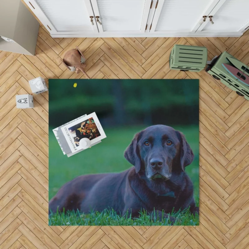 Loyal Labrador Companion Rug