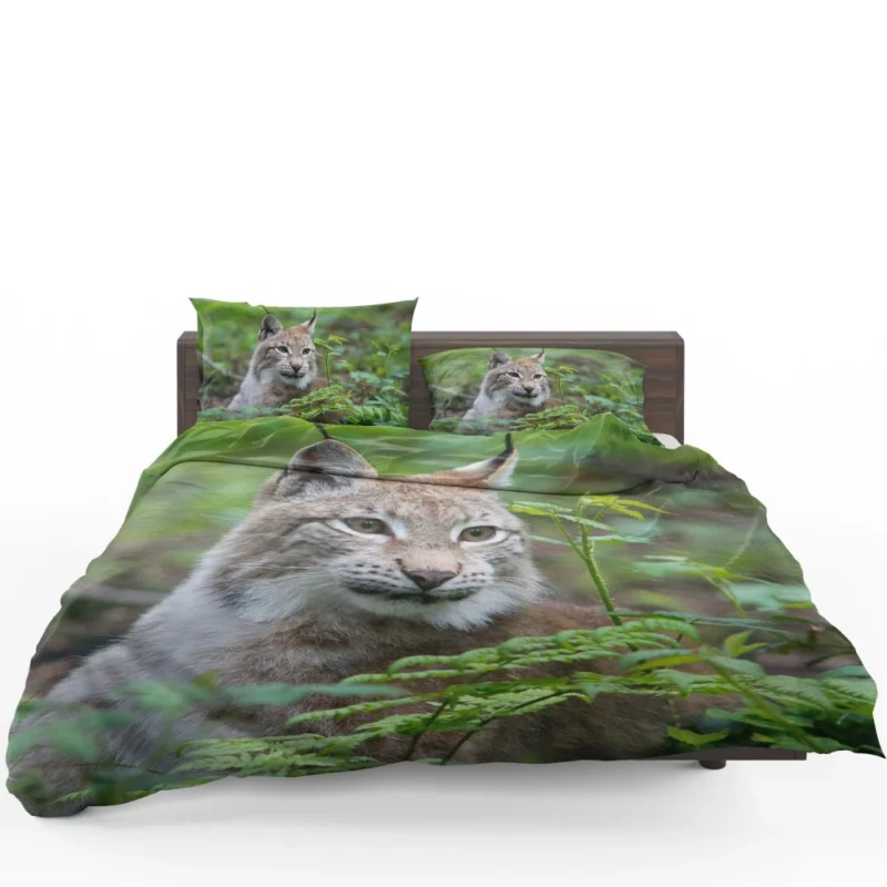 Lynx Blur in Wilderness Enigmatic Elegance Bedding Set