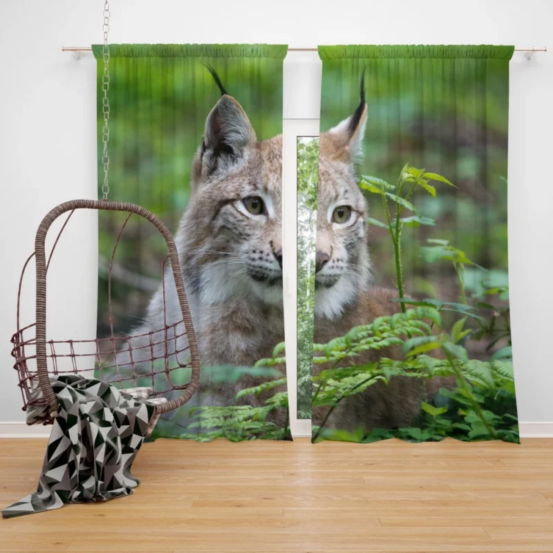 Lynx Blur in Wilderness Enigmatic Elegance Curtain