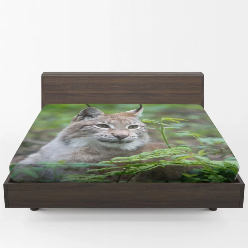 Lynx Blur in Wilderness Enigmatic Elegance Fitted Sheet