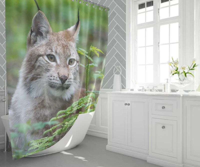 Lynx Blur in Wilderness Enigmatic Elegance Shower Curtain 1