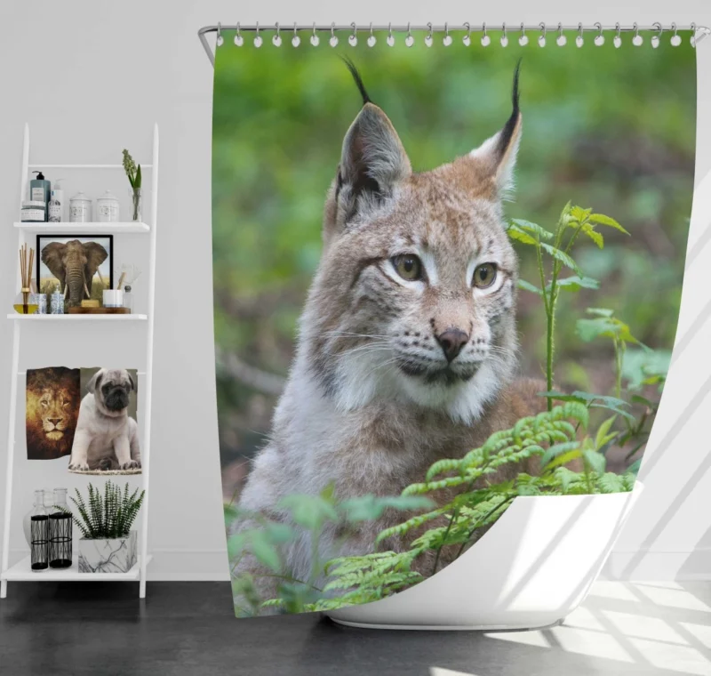 Lynx Blur in Wilderness Enigmatic Elegance Shower Curtain