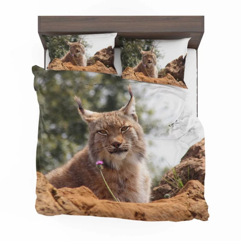 Lynx Bokeh Gaze Enigmatic Wilderness Bedding Set 1