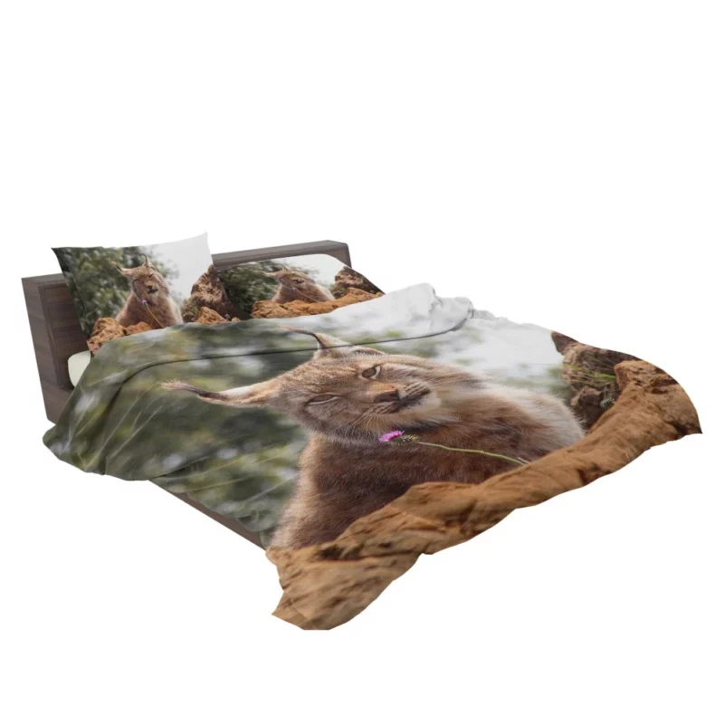 Lynx Bokeh Gaze Enigmatic Wilderness Bedding Set 2