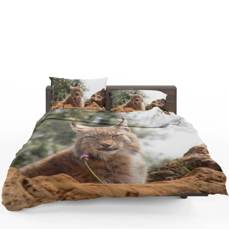 Lynx Bokeh Gaze Enigmatic Wilderness Bedding Set