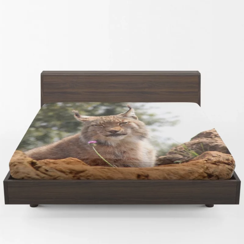 Lynx Bokeh Gaze Enigmatic Wilderness Fitted Sheet