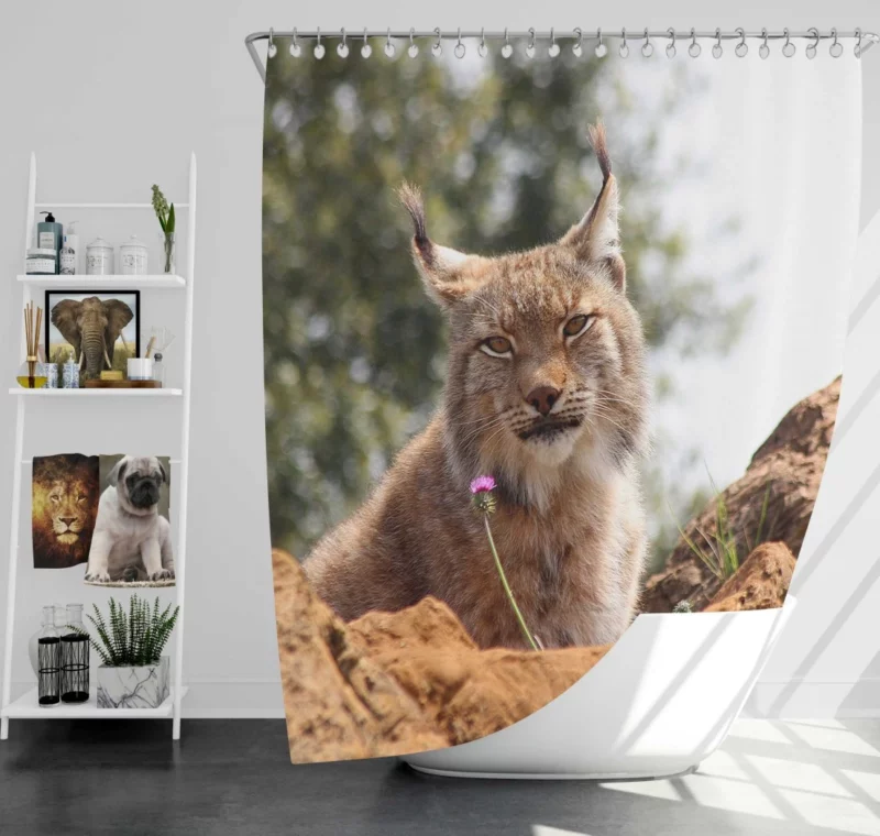 Lynx Bokeh Gaze Enigmatic Wilderness Shower Curtain