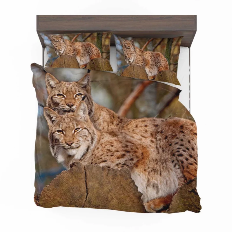 Lynx Couple Snuggled Wilderness Love Bedding Set 1