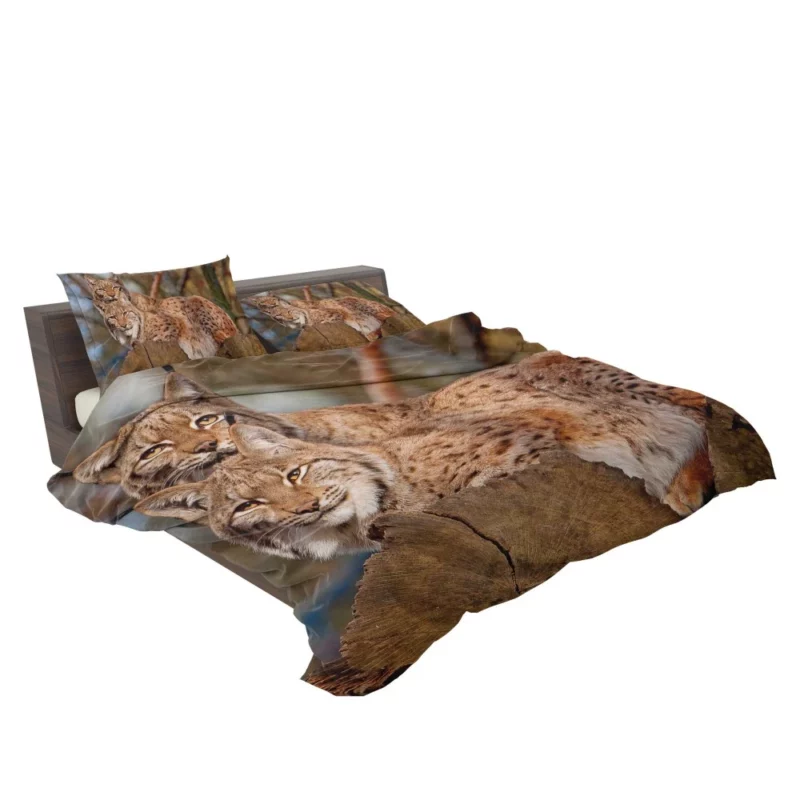 Lynx Couple Snuggled Wilderness Love Bedding Set 2